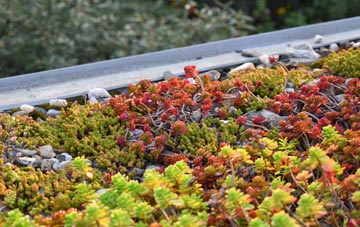 the cost of Coton In The Clay green roof installation