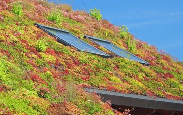 Coton In The Clay living roof systems