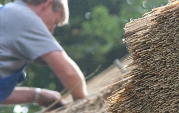 professional Coton In The Clay thatchers