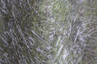 Coton In The Clay fibreglass roof work